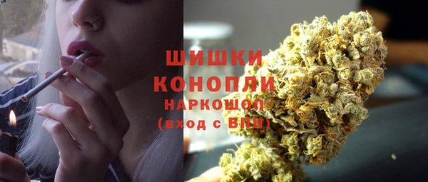 эйфоретик Белокуриха